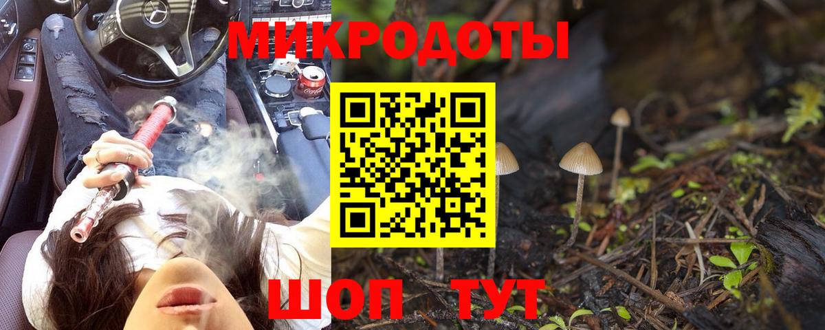 Унеча  Галлюциногенные грибы GOLDEN TEACHER  Вход с VPN 